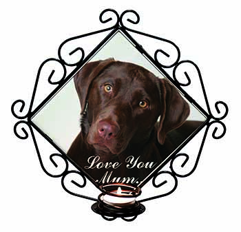 Chocolate Labrador 