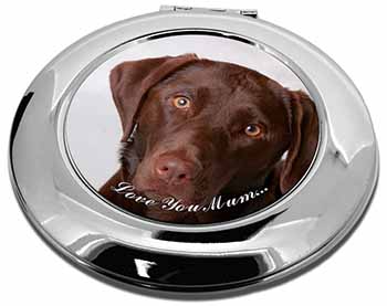 Chocolate Labrador 