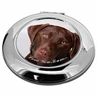 Chocolate Labrador 