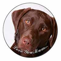 Chocolate Labrador 