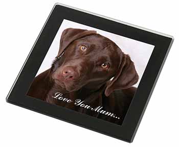 Chocolate Labrador 