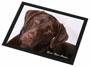 Chocolate Labrador 