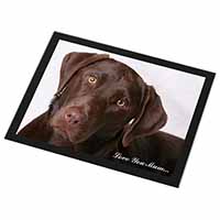 Chocolate Labrador 