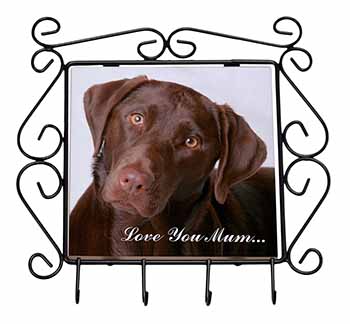 Chocolate Labrador 