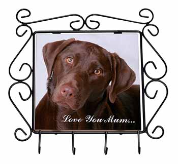 Chocolate Labrador 