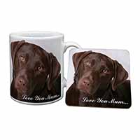 Chocolate Labrador 