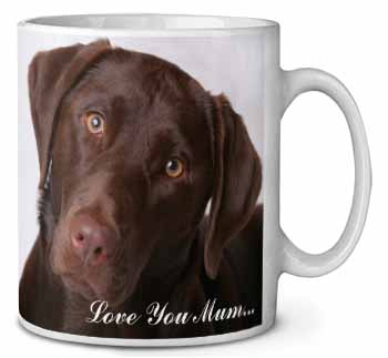 Chocolate Labrador 