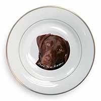 Chocolate Labrador 