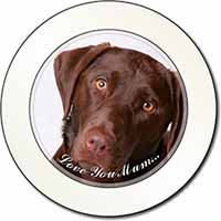 Chocolate Labrador 