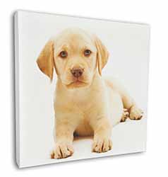 Yellow Labrador Square Canvas 12"x12" Wall Art Picture Print