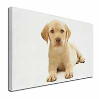 Yellow Labrador Canvas X-Large 30"x20" Wall Art Print