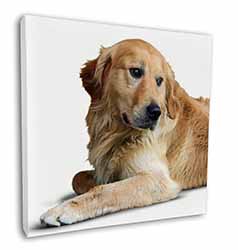 Golden Retriever Dog Square Canvas 12"x12" Wall Art Picture Print