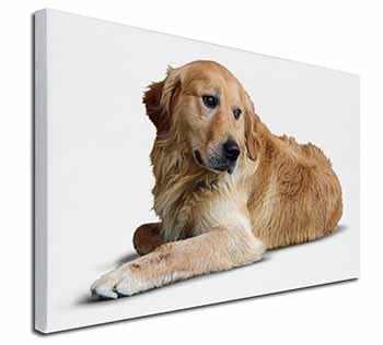 Golden Retriever Dog Canvas X-Large 30"x20" Wall Art Print