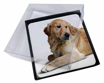 4x Golden Retriever Dog Picture Table Coasters Set in Gift Box