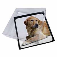 4x Golden Retriever Dog Picture Table Coasters Set in Gift Box