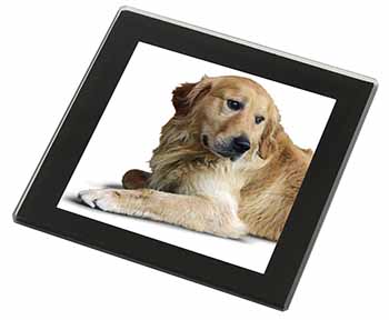 Golden Retriever Dog Black Rim High Quality Glass Coaster