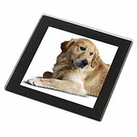 Golden Retriever Dog Black Rim High Quality Glass Coaster