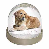 Golden Retriever Dog Snow Globe Photo Waterball