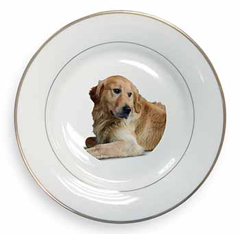 Golden Retriever Dog Gold Rim Plate Printed Full Colour in Gift Box