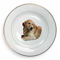 Golden Retriever Dog Gold Rim Plate Printed Full Colour in Gift Box