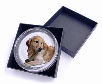 Golden Retriever Dog Glass Paperweight in Gift Box