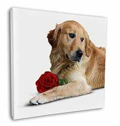 Golden Retriever with Red Rose Square Canvas 12"x12" Wall Art Picture Print