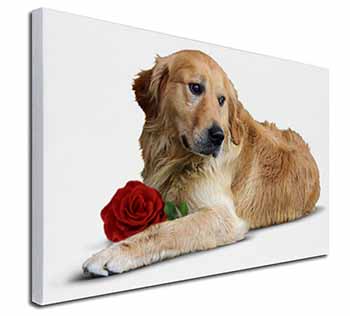 Golden Retriever with Red Rose Canvas X-Large 30"x20" Wall Art Print