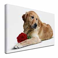 Golden Retriever with Red Rose Canvas X-Large 30"x20" Wall Art Print