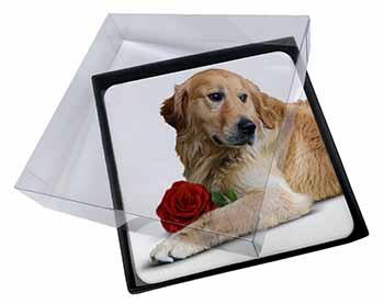 4x Golden Retriever with Red Rose Picture Table Coasters Set in Gift Box
