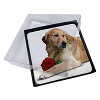 4x Golden Retriever with Red Rose Picture Table Coasters Set in Gift Box