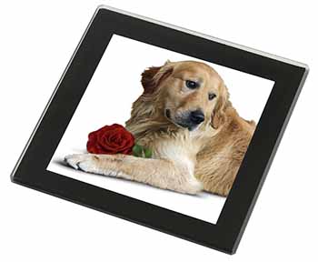 Golden Retriever with Red Rose Black Rim High Quality Glass Coaster