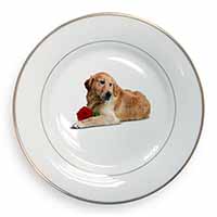 Golden Retriever with Red Rose Gold Rim Plate Printed Full Colour in Gift Box