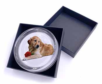 Golden Retriever with Red Rose Glass Paperweight in Gift Box