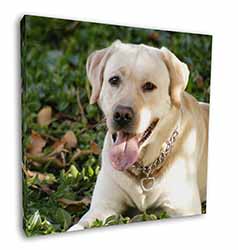 Yellow Labrador Dog Square Canvas 12"x12" Wall Art Picture Print