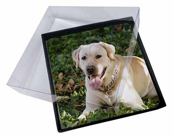 4x Yellow Labrador Dog Picture Table Coasters Set in Gift Box