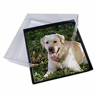 4x Yellow Labrador Dog Picture Table Coasters Set in Gift Box