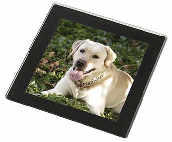Yellow Labrador Dog Black Rim High Quality Glass Coaster