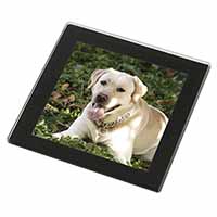 Yellow Labrador Dog Black Rim High Quality Glass Coaster