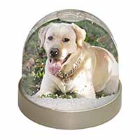 Yellow Labrador Dog Snow Globe Photo Waterball