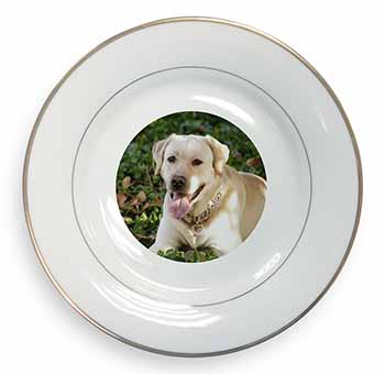 Yellow Labrador Dog Gold Rim Plate Printed Full Colour in Gift Box
