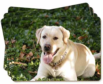 Yellow Labrador Dog Picture Placemats in Gift Box