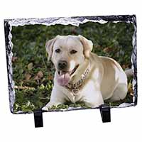 Yellow Labrador Dog, Stunning Photo Slate