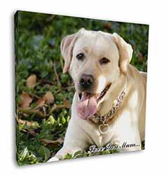 Yellow Labrador Dog 