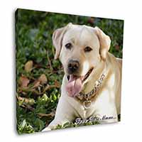 Yellow Labrador Dog 