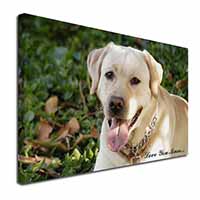 Yellow Labrador Dog 