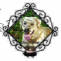 Yellow Labrador Dog 