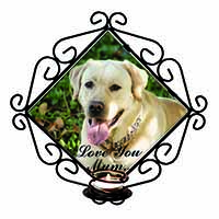 Yellow Labrador Dog 