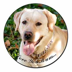 Yellow Labrador Dog 