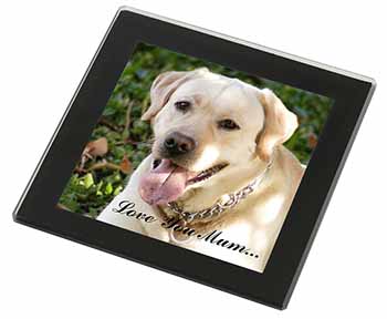 Yellow Labrador Dog 