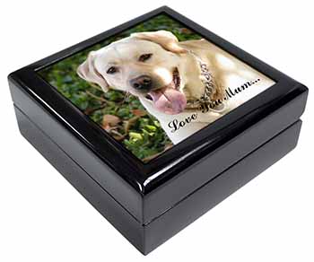 Yellow Labrador Dog 